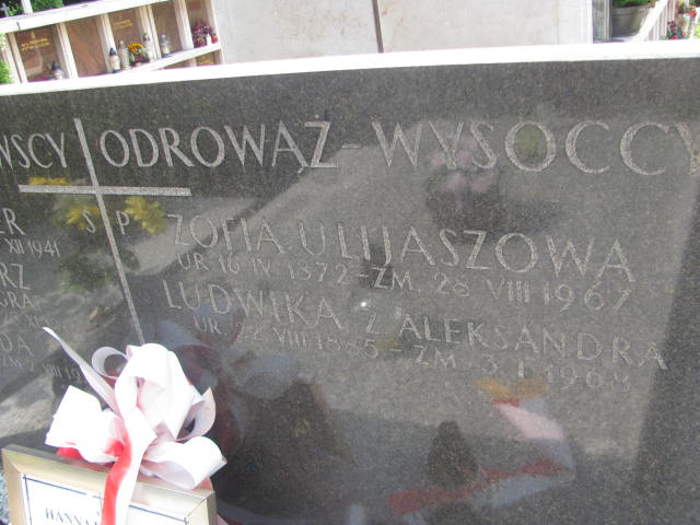 Aleksander Wiszniewski 1882 Kraków-Salwator - Grobonet - Wyszukiwarka osób pochowanych